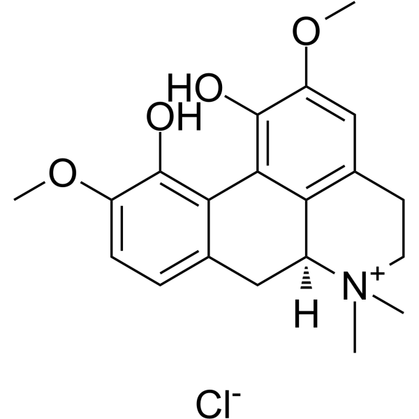 Magnoflorine-chloride Structure